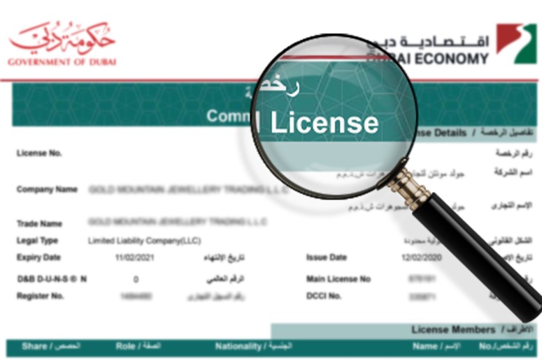 Professional Trade License in UAE