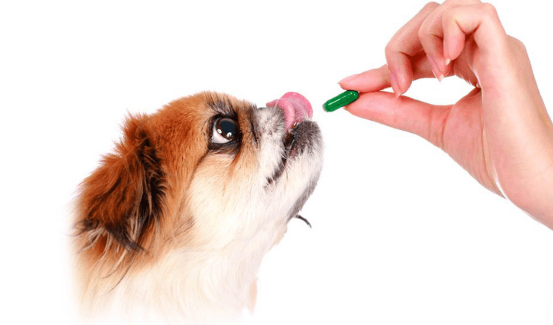 trigoxin dog medicine