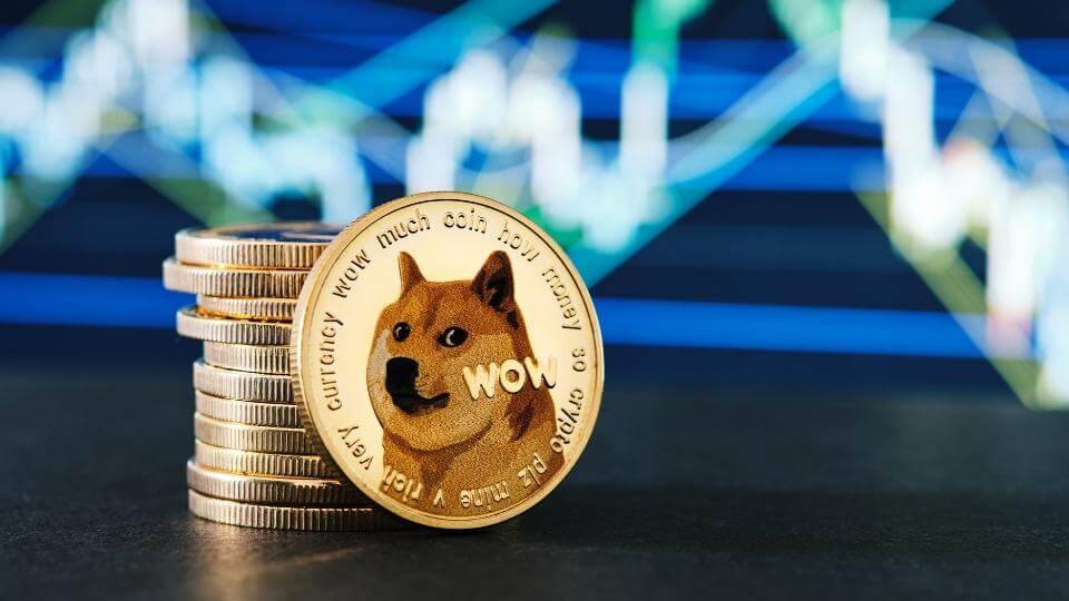 1000 dogecoin to usd