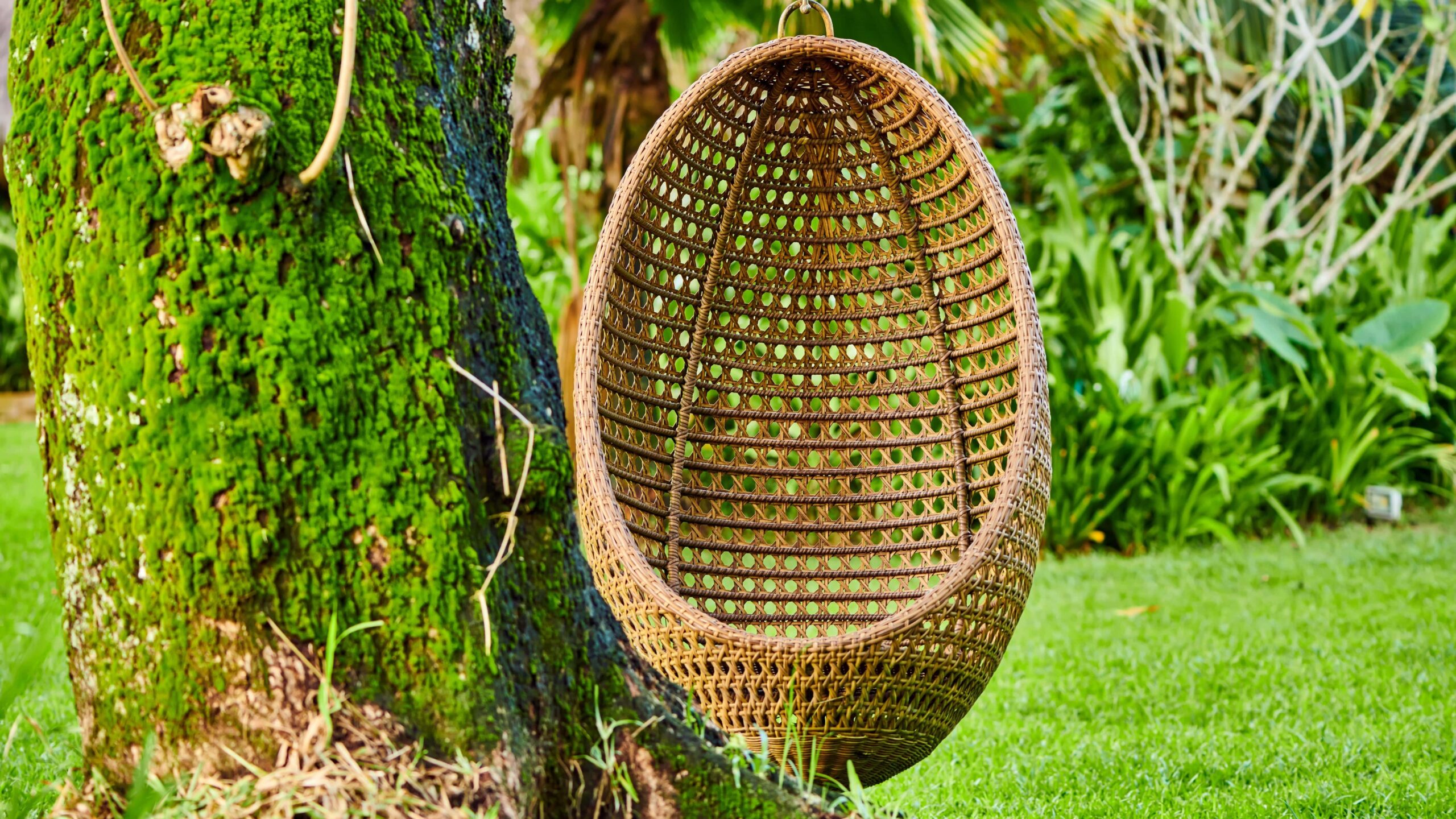 garden egg chair